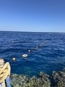 أفضل أماكن الغطس في البحر الأحمر.. تجربة لا تُنسى لعشاق المغامرة