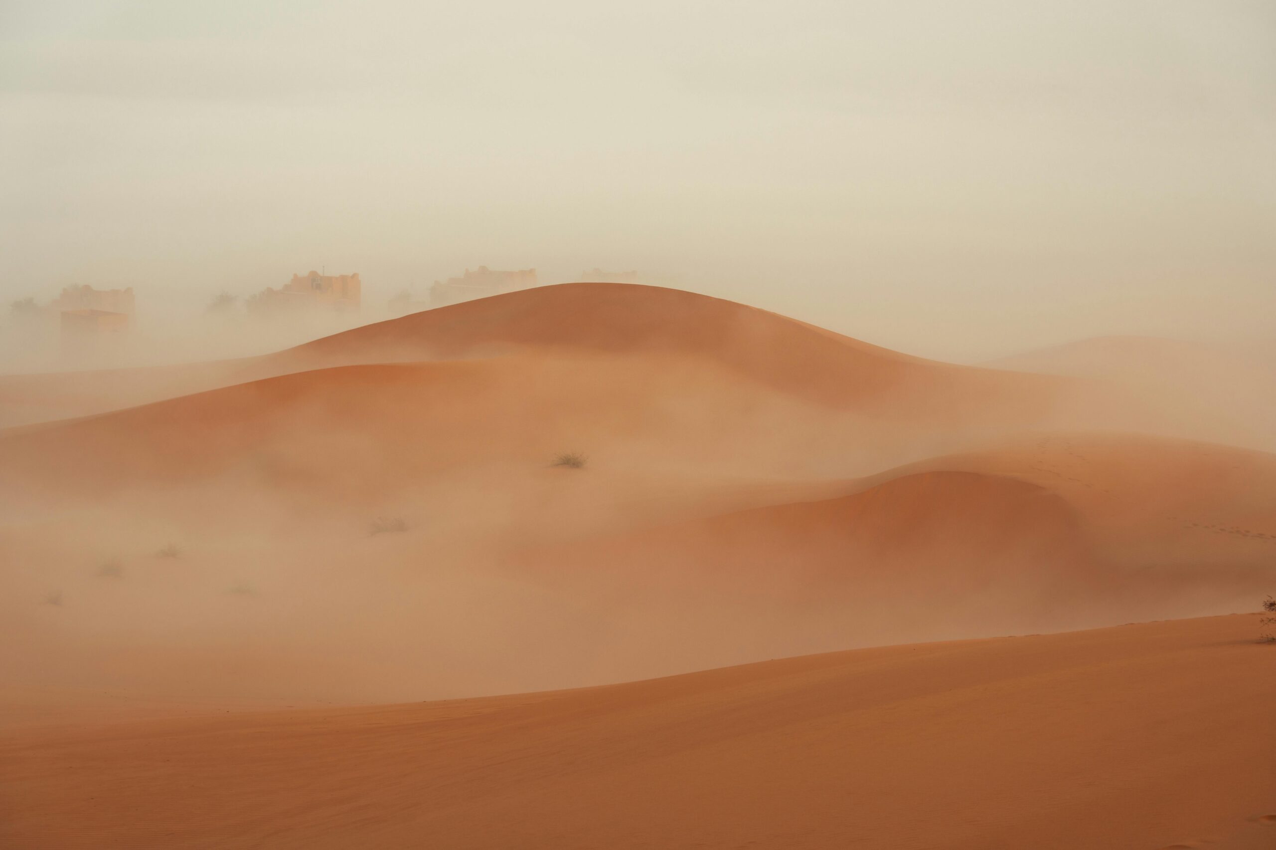 Captivating view of misty sand dunes enveloped in fog, evoking a serene desert atmosphere.